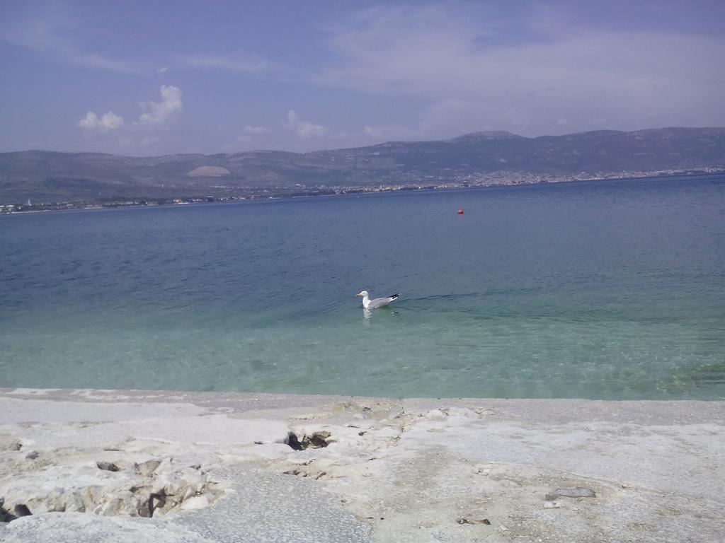 Apartment Aida Trogir Exteriör bild